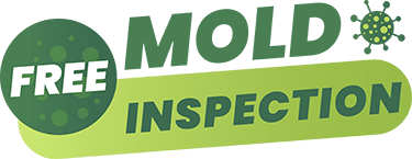 free-mold-inspection-houston